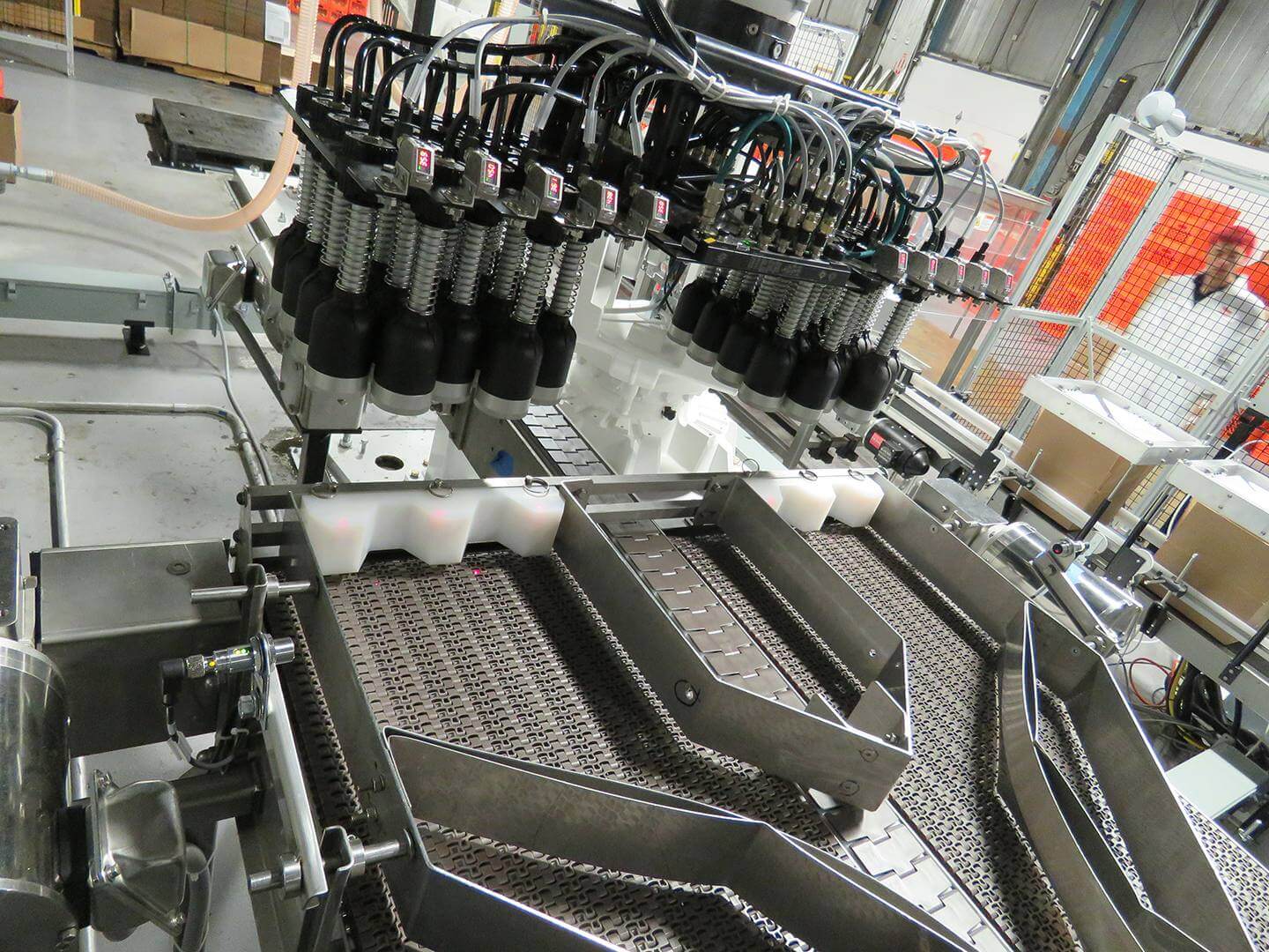 Case packing system in operation
